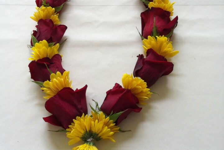 Red rose and yellow Sevanti varmala – a bright and auspicious wedding garland.