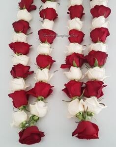 Red and white rose varmala – a classic floral garland for weddings.