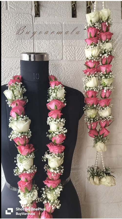 Dark Pink and White Roses