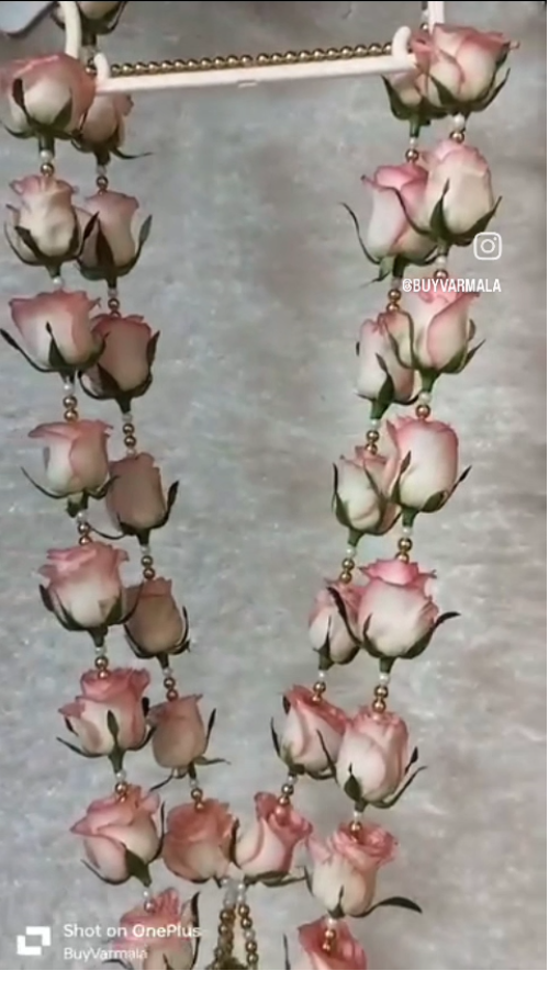 508-Jumelia-GoldenWhite-Beats-6