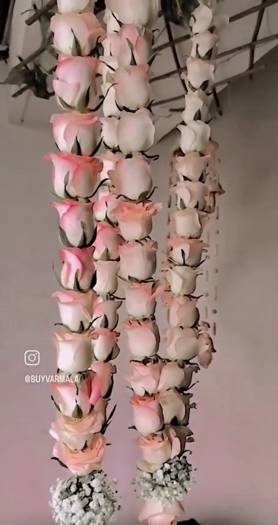 Pink-roses-babybreath