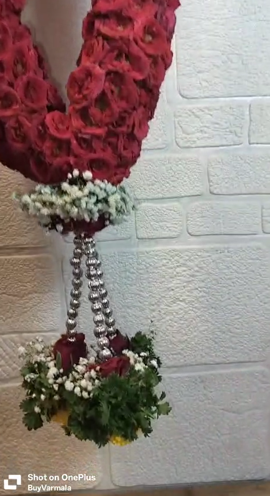 RedRoses-Luxury-babybreath-2