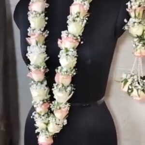 White, Jumelia Roses, Gypso