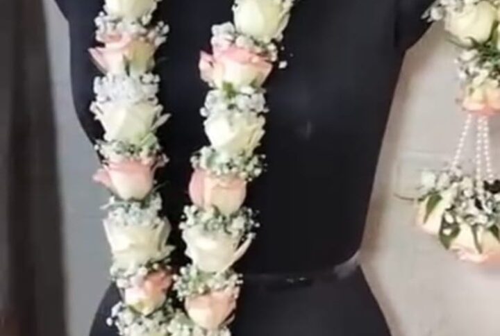 White, Jumelia Roses, Gypso