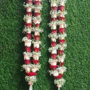 Red, Jumelia And Gypso