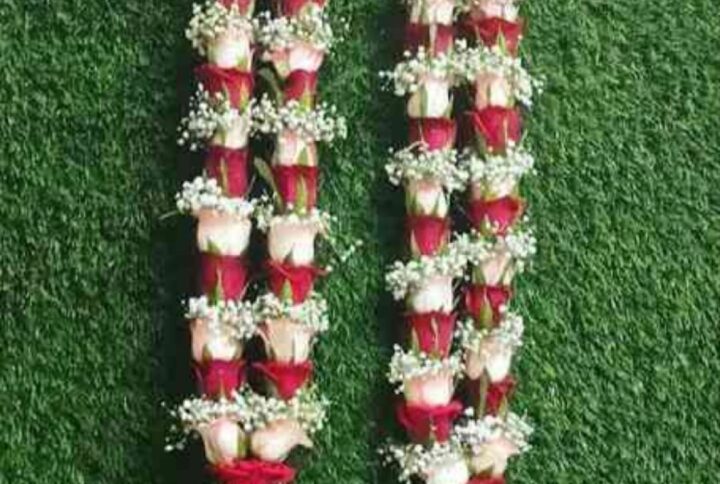 Red, Jumelia And Gypso